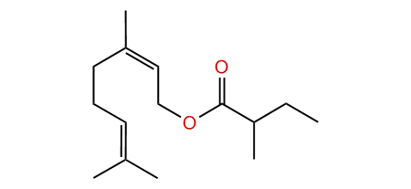 (Z)-3,7-Dimethyl-2,6-octadienyl 2-methylbutyrate